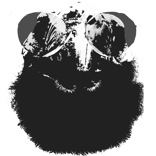 THE TURTLE HERMIT STORE